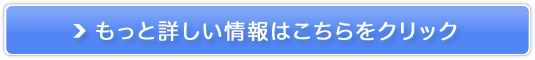 _uCpNg̔TCg